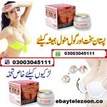 Aichun Beauty Breast Enlargement Cream In Pakistan - Image 2